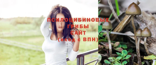 кокаин колумбия Абаза
