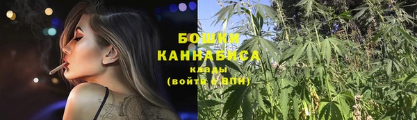 прущие крисы Арсеньев